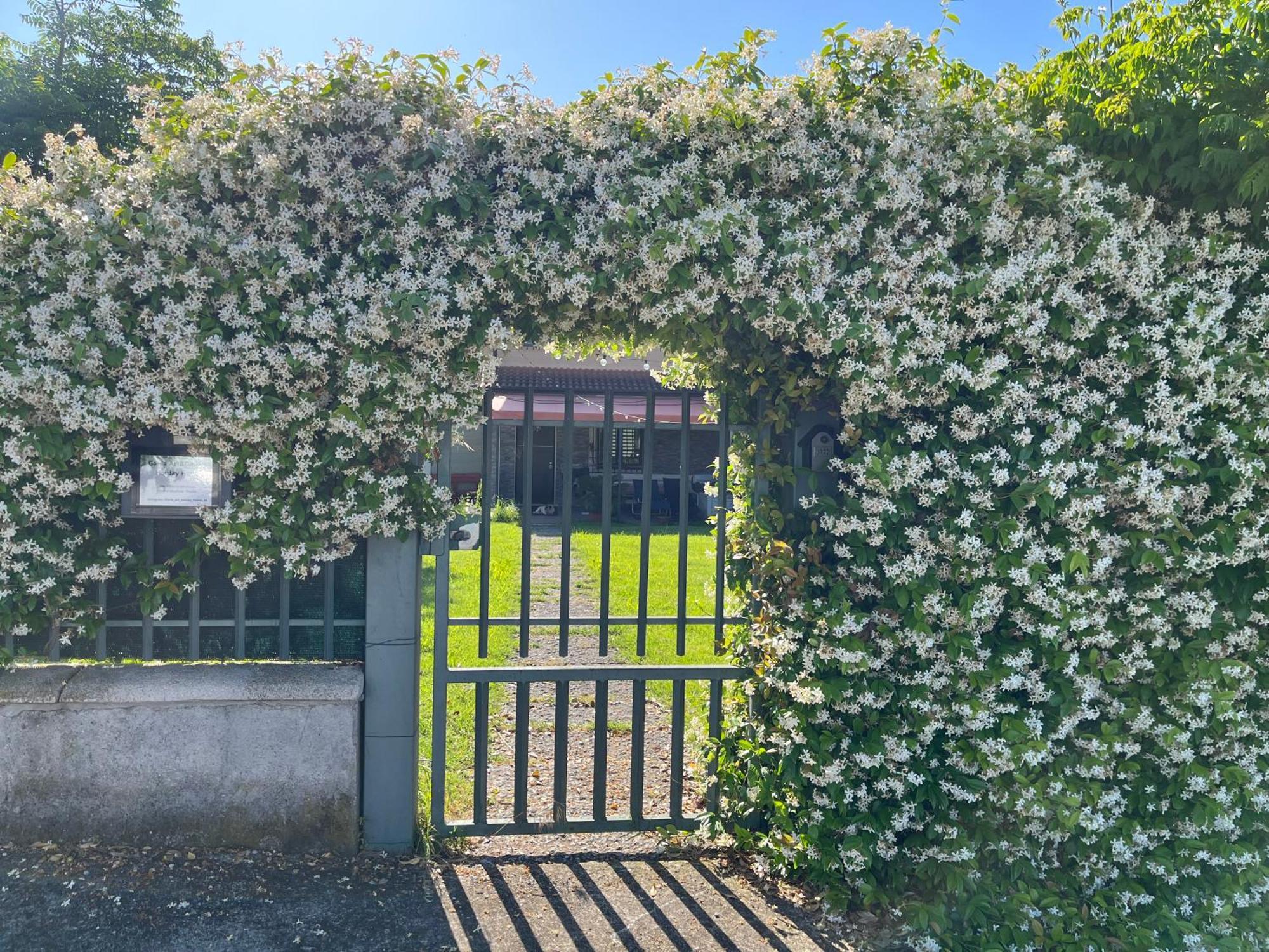 Villa Garda Art&Garden à Volta Mantovana Extérieur photo
